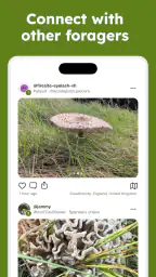 Sporecast: Mushroom Map & ID screenshot