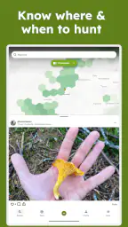Sporecast: Mushroom Map & ID screenshot