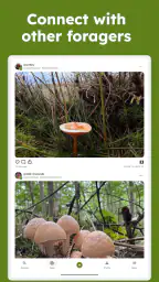Sporecast: Mushroom Map & ID screenshot