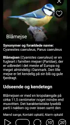 Stemmer af fugle i Europa PRO screenshot