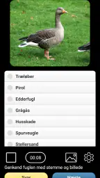 Stemmer af fugle i Europa PRO screenshot