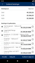 Sydbanks MobilBank Erhverv screenshot