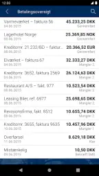 Sydbanks MobilBank Erhverv screenshot