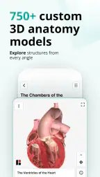 Teach Me Anatomy screenshot