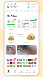 Top Widgets-万能小组件 screenshot