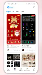 Top Widgets-万能小组件 screenshot