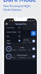 Torrent Pro - Torrent Download screenshot