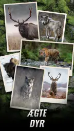 Trophy Hunter – Afslappet jagt screenshot