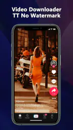 TT Video Downloader screenshot