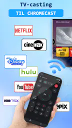 TV Cast for Chrome Cast screenshot