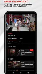 UFC screenshot