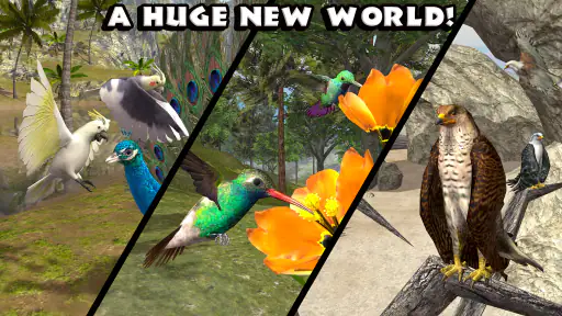 Ultimate Bird Simulator screenshot