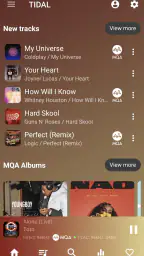 USB Audio Player PRO screenshot