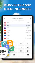 Valutakalkulator Pluss screenshot