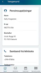 Vangin screenshot