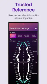 Vetpocket: Vet Drug Calculator screenshot