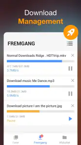 Video Downloader screenshot