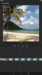 Video Editor screenshot