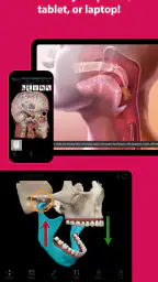 Visible Body Suite screenshot