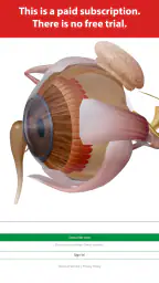 Visible Body Suite screenshot