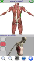 Visual Anatomy 2 screenshot