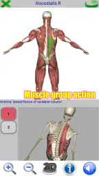 Visual Anatomy screenshot