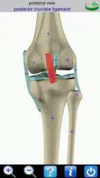 Visual Anatomy screenshot