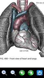 Visual Anatomy screenshot