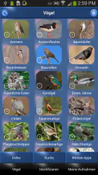 Vogelstimmen Id - Ruf + Gesang screenshot