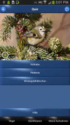 Vogelstimmen Id - Ruf + Gesang screenshot