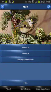 Vogelstimmen Id - Ruf + Gesang screenshot