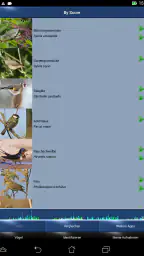 Vogelstimmen Id - Ruf + Gesang screenshot