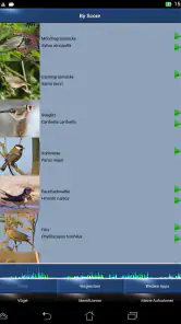 Vogelstimmen Id - Ruf + Gesang screenshot