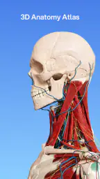 VOKA 3D Anatomy & Pathology screenshot