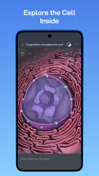 VOKA 3D Anatomy & Pathology screenshot