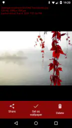 Wallpaper Changer screenshot