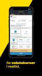 Western Union Send Penge screenshot