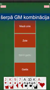 Zole kāršu spēle: RaccoonZole screenshot