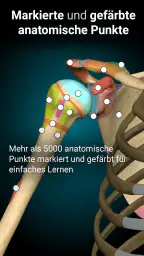 3D-Anatomie - Anatomy Learning screenshot