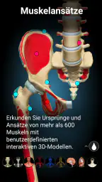 3D-Anatomie - Anatomy Learning screenshot