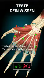 3D-Anatomie - Anatomy Learning screenshot