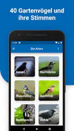 40 Gartenvögel & ihre Stimmen screenshot