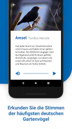 40 Gartenvögel & ihre Stimmen screenshot