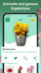 AI Pflanzen Erkennen & Blumen screenshot