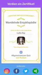 Allgemeinwissen Quiz screenshot