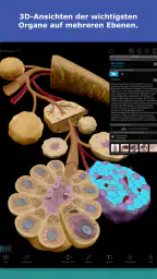 Atlas der Humananatomie 2026 screenshot