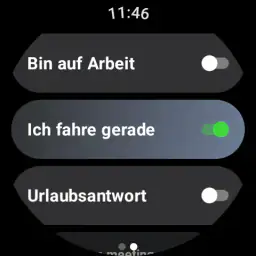 AutoResponder für WA screenshot