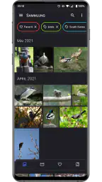 Aves Galerie screenshot