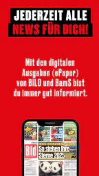 BILD ePaper App screenshot