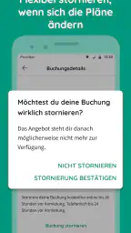 billiger-mietwagen.de screenshot